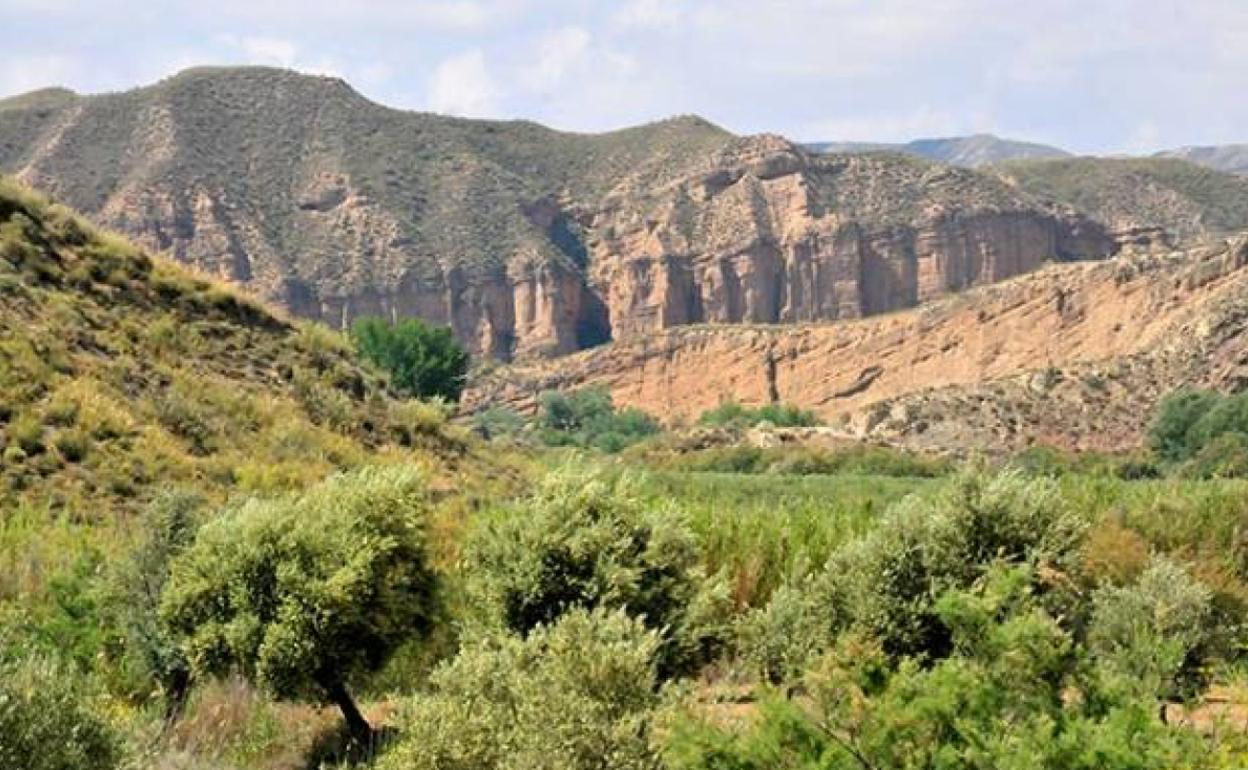 Ruta por el norte de la provincia: Senda del Guardal