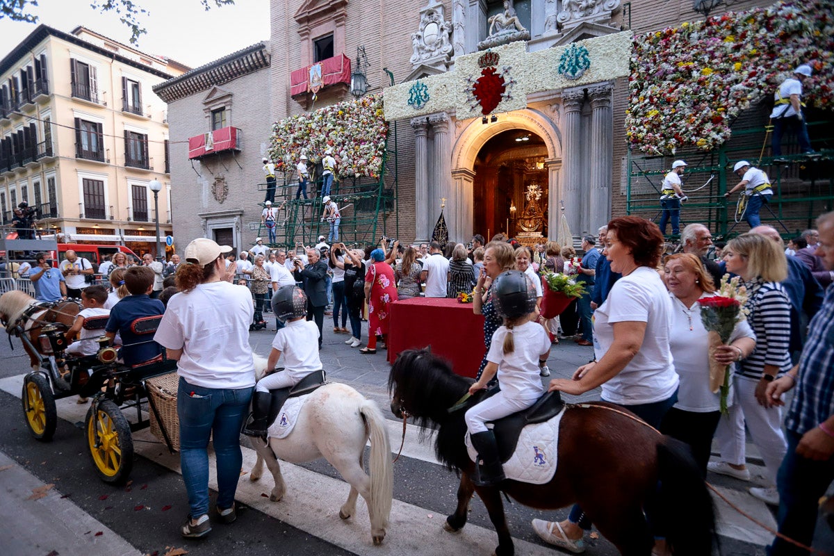 Miles de granadinos se reúnen en la Carrera para llenar de color la Basílica de las Angustias 