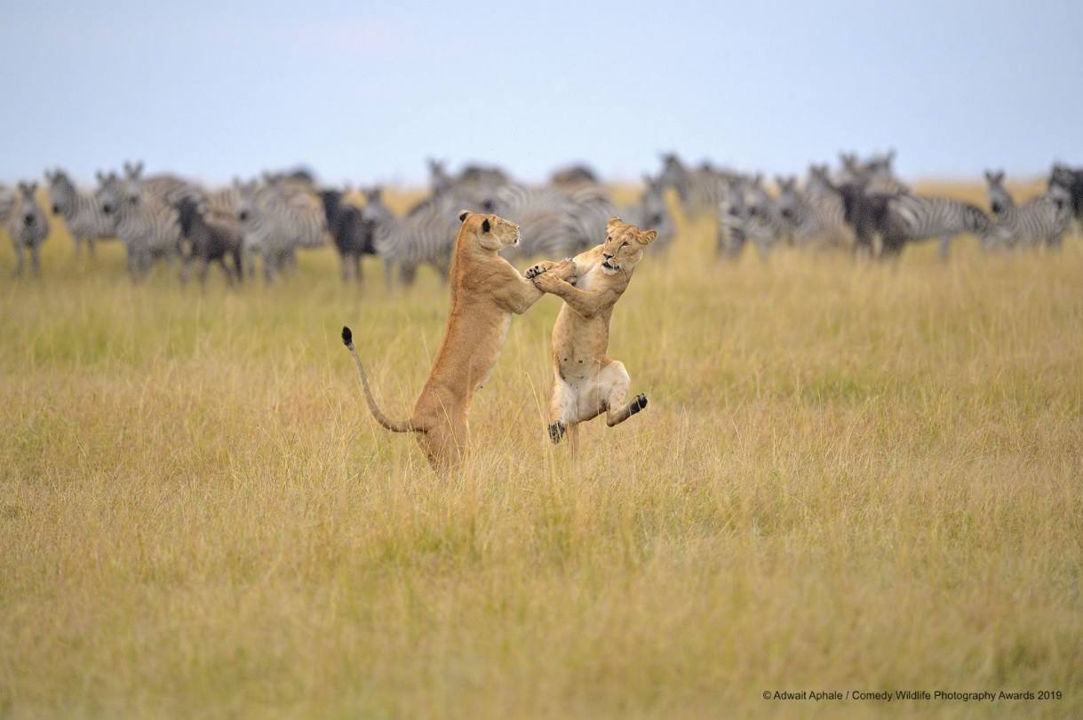 'Agárrate', una foto de Adwait Aphale captada en Kenia