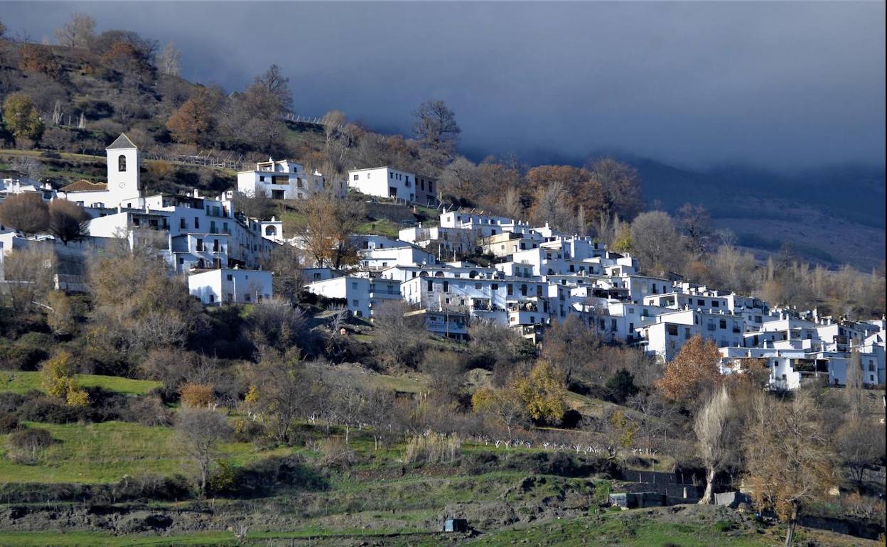 Asalto a una iglesia en Granada | Investigan el robo de valiosos cálices, copones y patenas