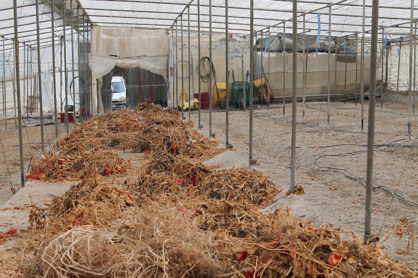 El cierre de la planta de reciclaje de Motril tras sufrir dos incendios está provocando una «parálisis» en el sector agrícola 