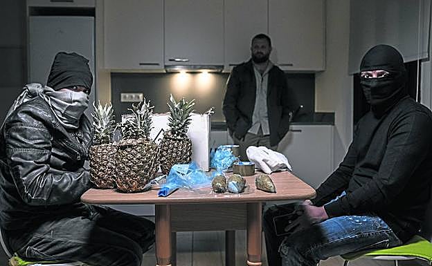 Traficantes de droga ante unas piñas que esconden cocaína en su interior.