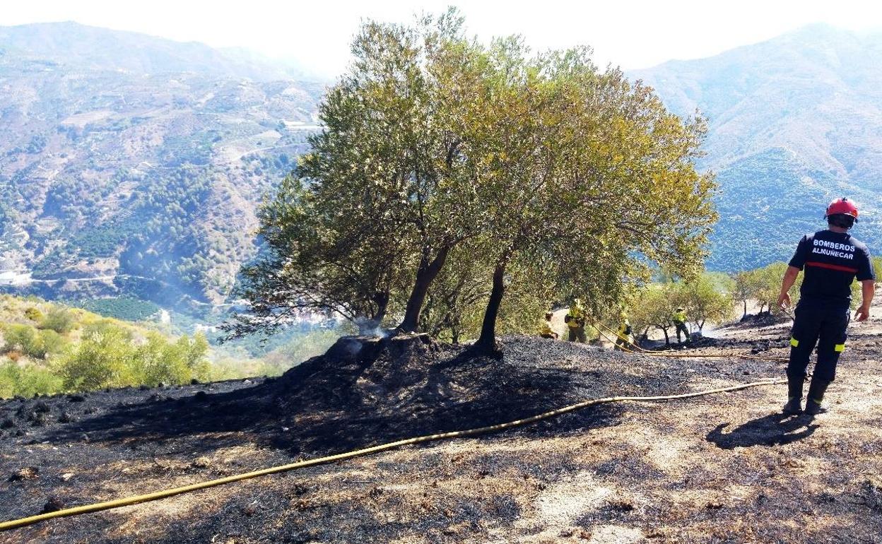 Bomberos de Almuñécar e Infoca sofocan un incendio en el Pago de Gelibra