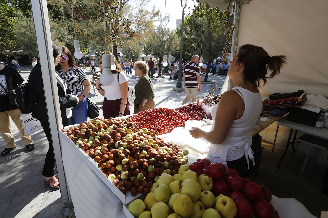 La Romería de San Miguel en el Albaicín y los puestos en la Carrera anticipan una tarde espléndida de devoción a la Virgen de las Angustias 