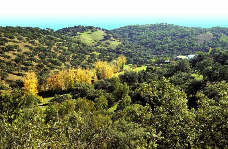 Sierra de Aracena y Picos de Aroche (Huelva)