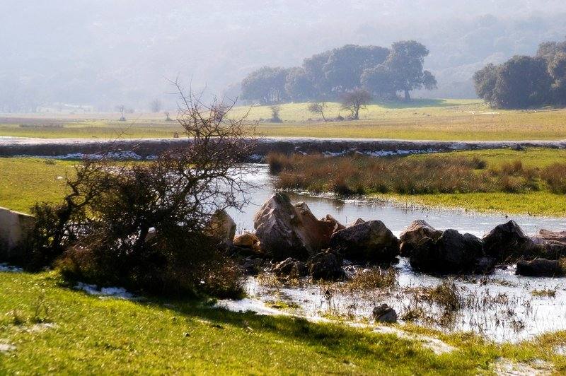 Ruta de los Ammonites del Geoparque de las Sierras Subbéticas (Córdoba)