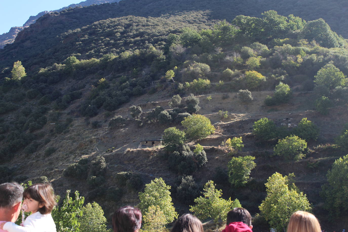 ¿Has estado en la prueba de este domingo? Búscate en las mejores imágenes | FOTOS: JOSÉ I. CEJUDO.