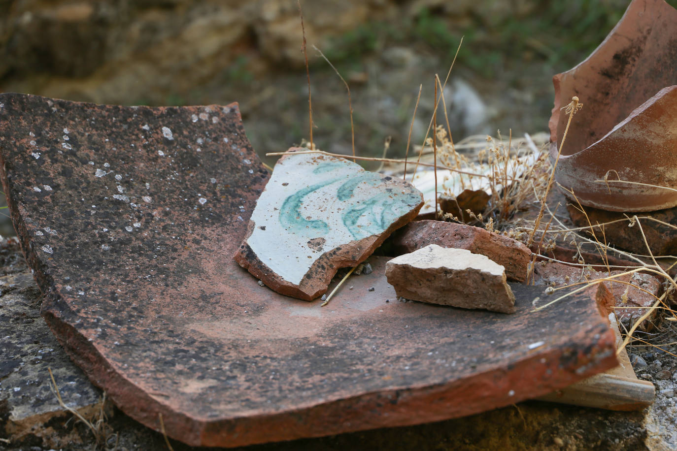 El Colegio de Arquitectos de Granada organizó ayer una visita guiada al Maristán con motivo de la Semana Internacional de la Arquitectura. El recorrido fue guiado por Pedro Salmerón, autor de la propuesta arquitectónica de restauración de este antiguo hospital nazarí.
