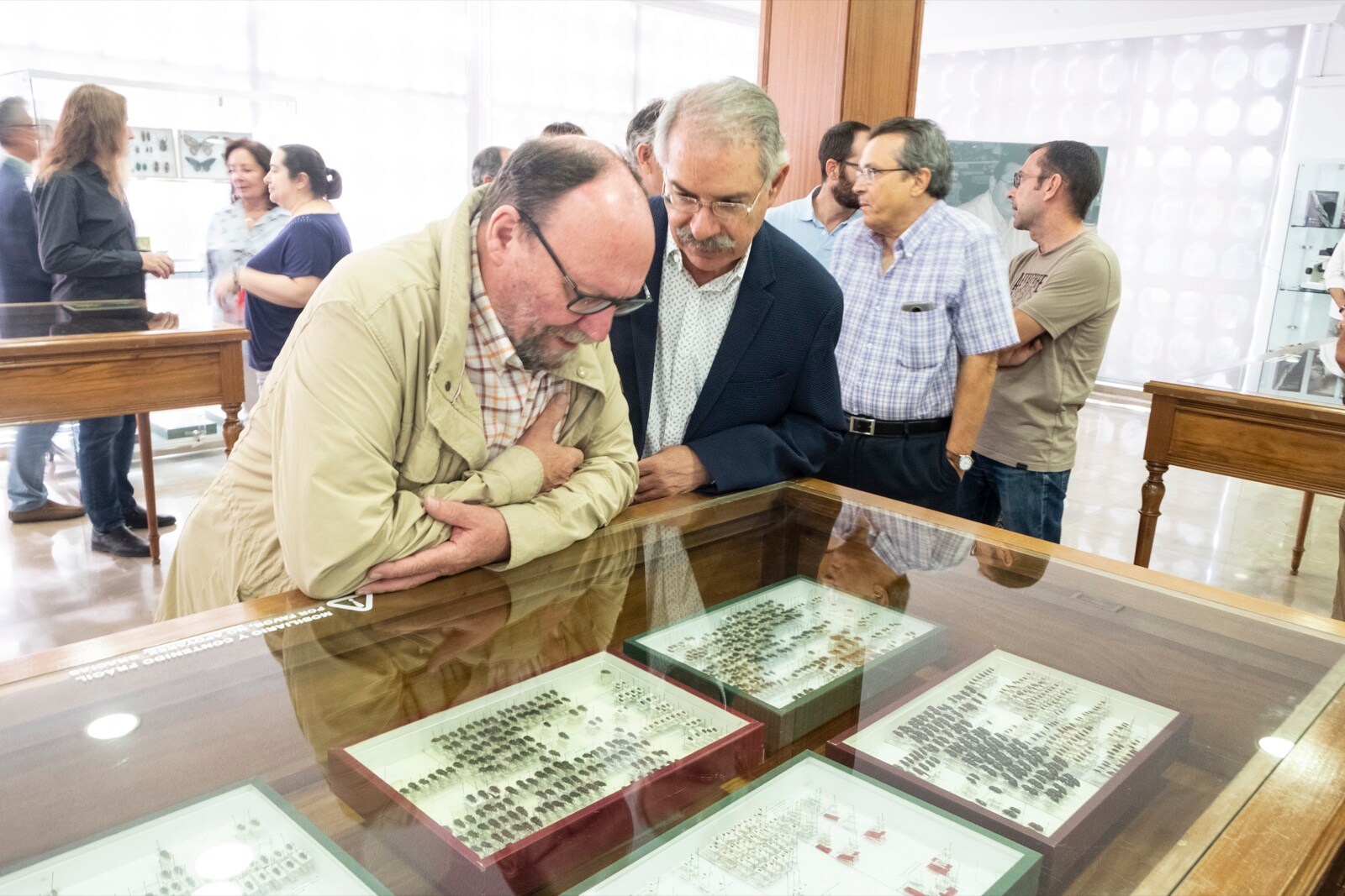 La UGR cuenta con una colección en el departamento de Zoología de más 200.000 ejemplares y 10.000 especies