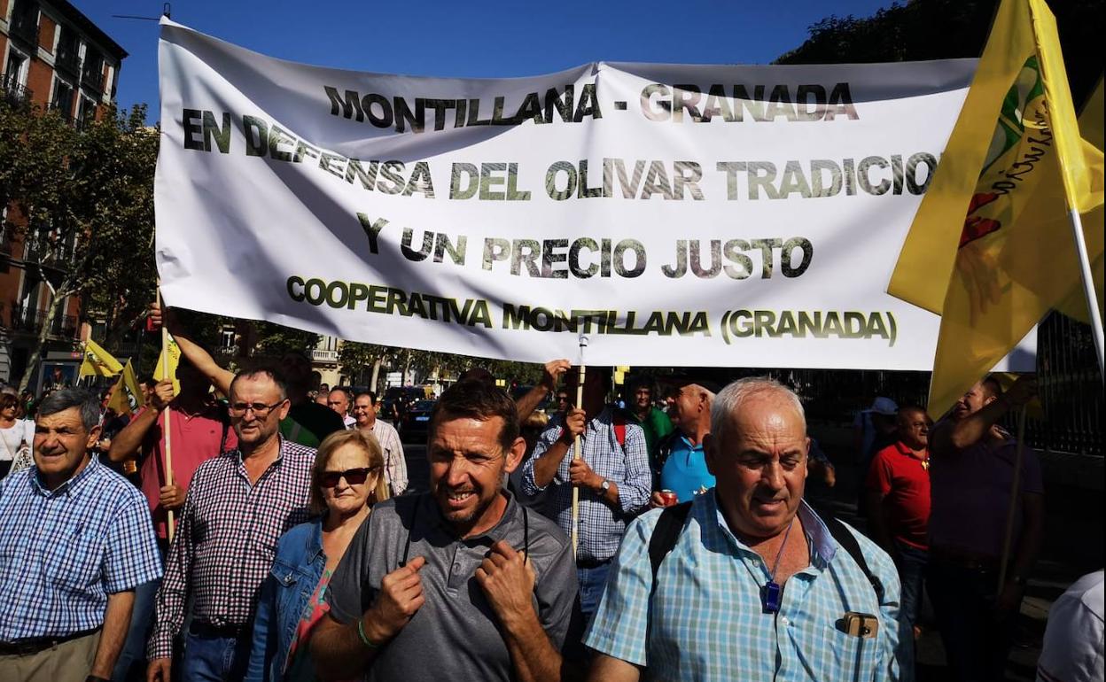 Agricultores de una cooperativa granadina en la marcha de Madrid. 