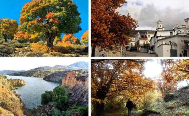 Senderos En Granada | 10 Rutas Otoñales Por La Provincia | Ideal