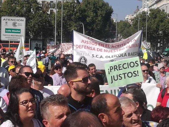 Así se está viviendo la manifestación por los precios del aceite