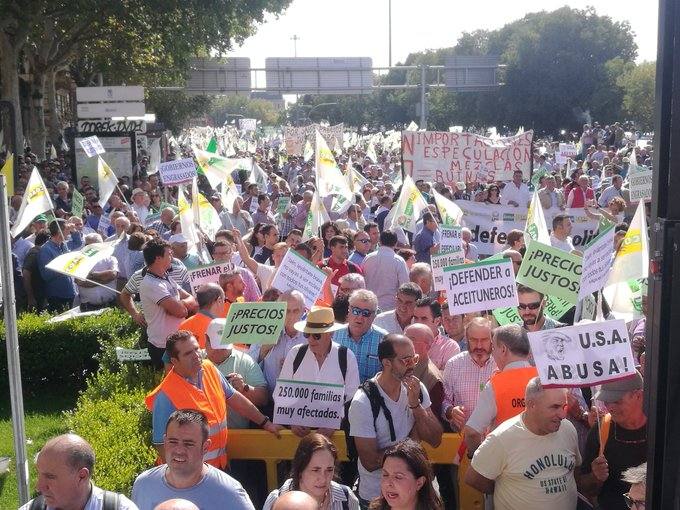 Así se está viviendo la manifestación por los precios del aceite