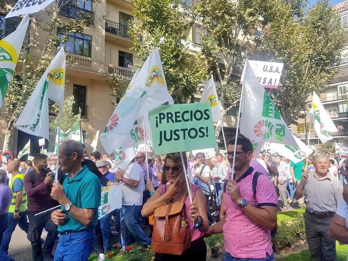 Así se está viviendo la manifestación por los precios del aceite