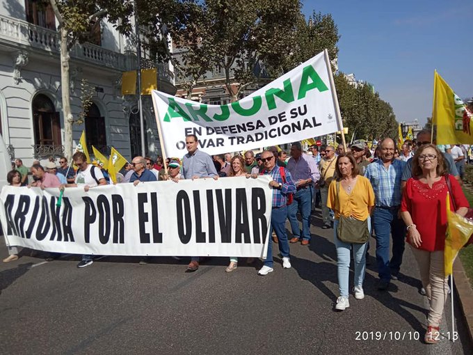 Miles de olivareros reclaman medidas para paliar la crisis