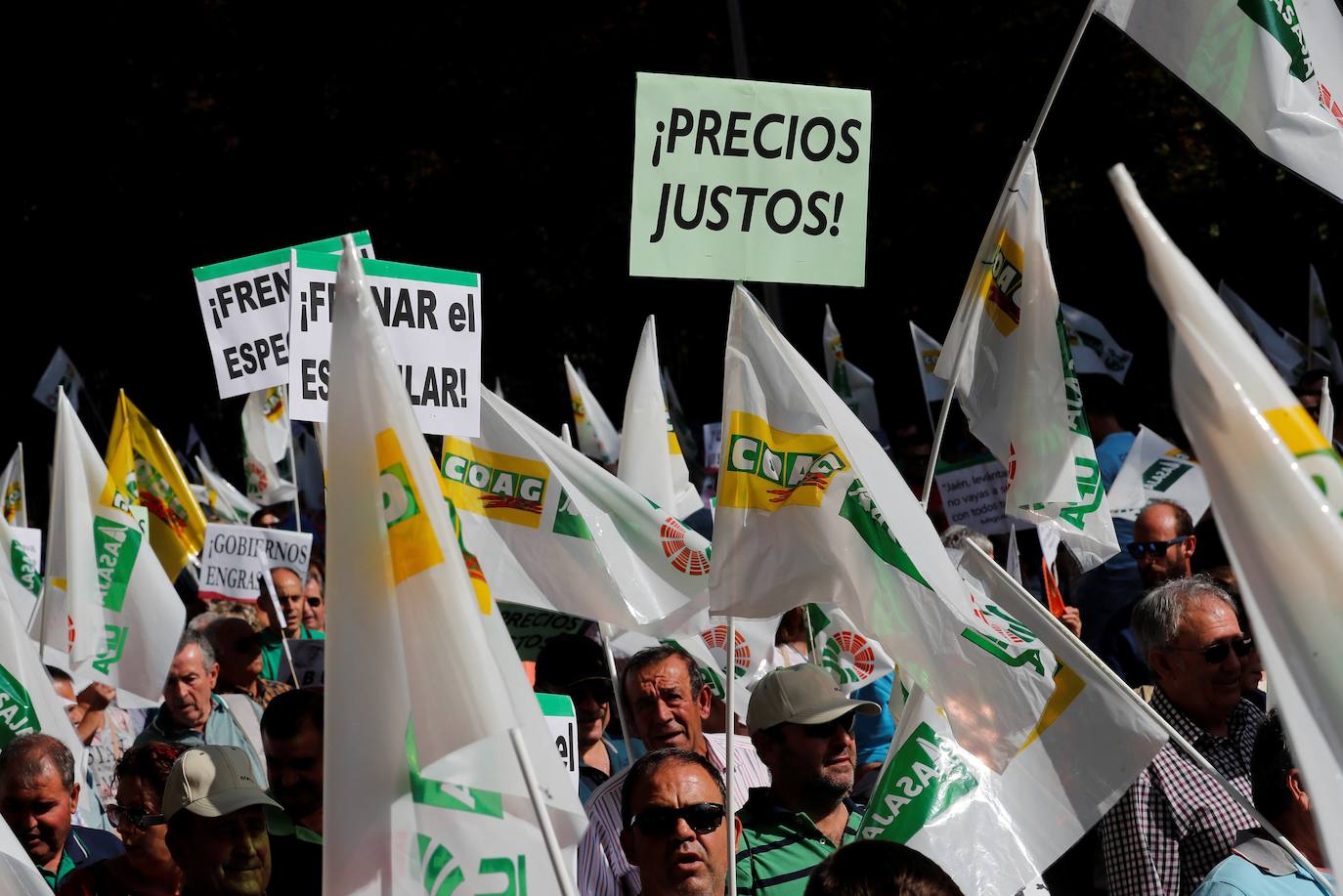 Andalucía | Miles de olivareros piden en Madrid que «no se juegue» con los precios aceite