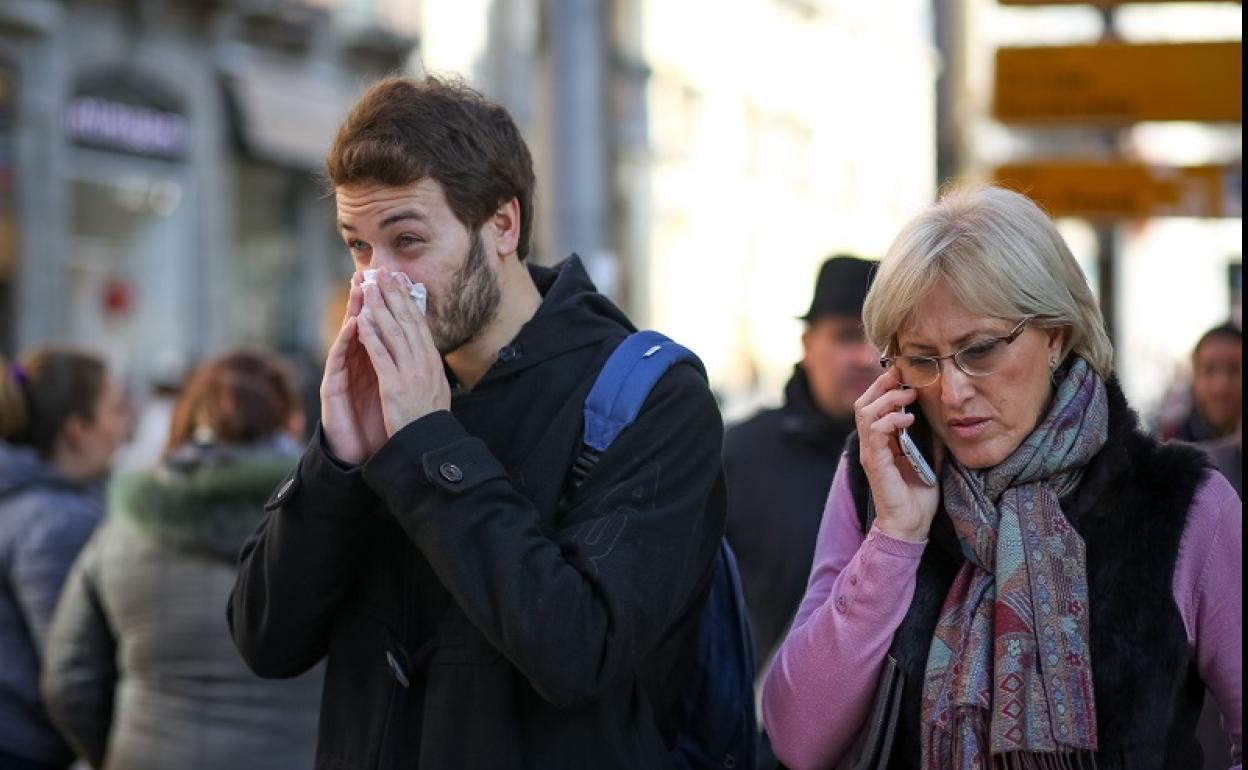 Científicos de la UGR advierten del aumento de las 'alergias cruzadas'