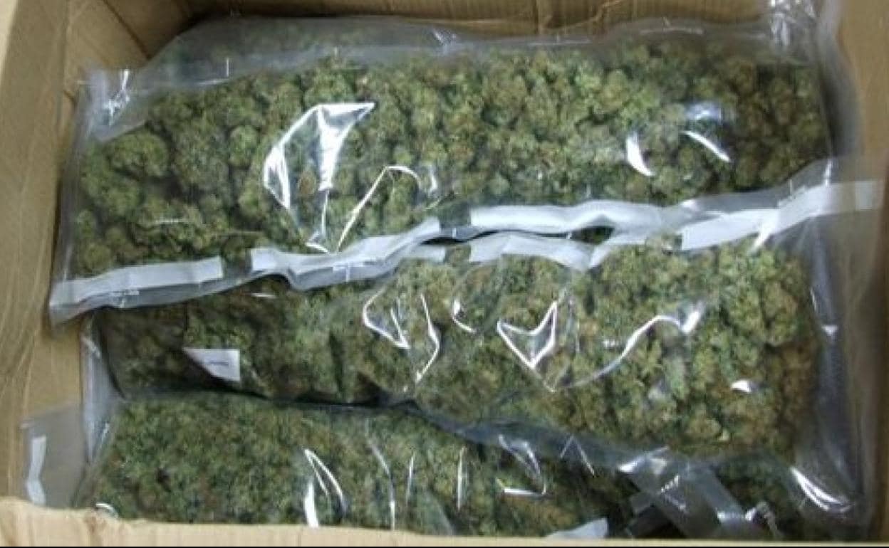 Paquetes de marihuana.