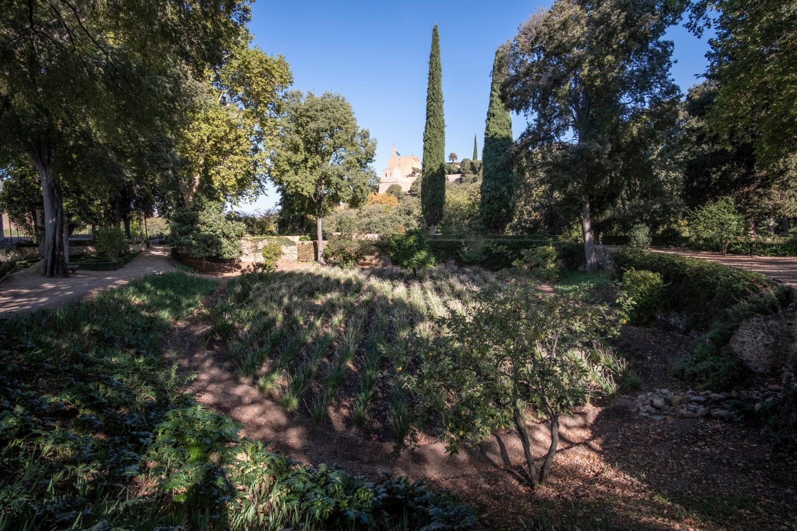 Los granadinos van ganando espacios para su conocimiento de la ciudad y de la Alhambra