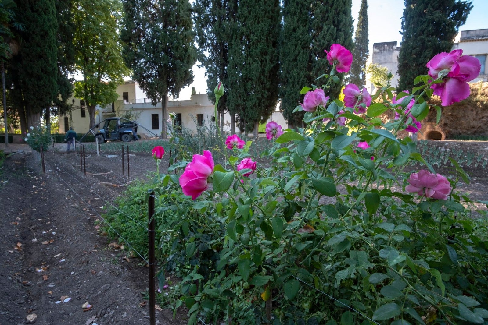 Los granadinos van ganando espacios para su conocimiento de la ciudad y de la Alhambra