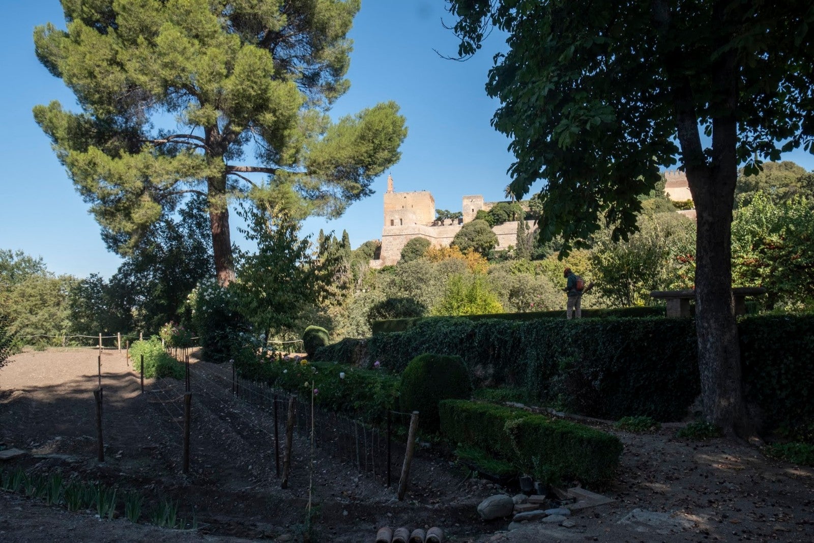 Los granadinos van ganando espacios para su conocimiento de la ciudad y de la Alhambra