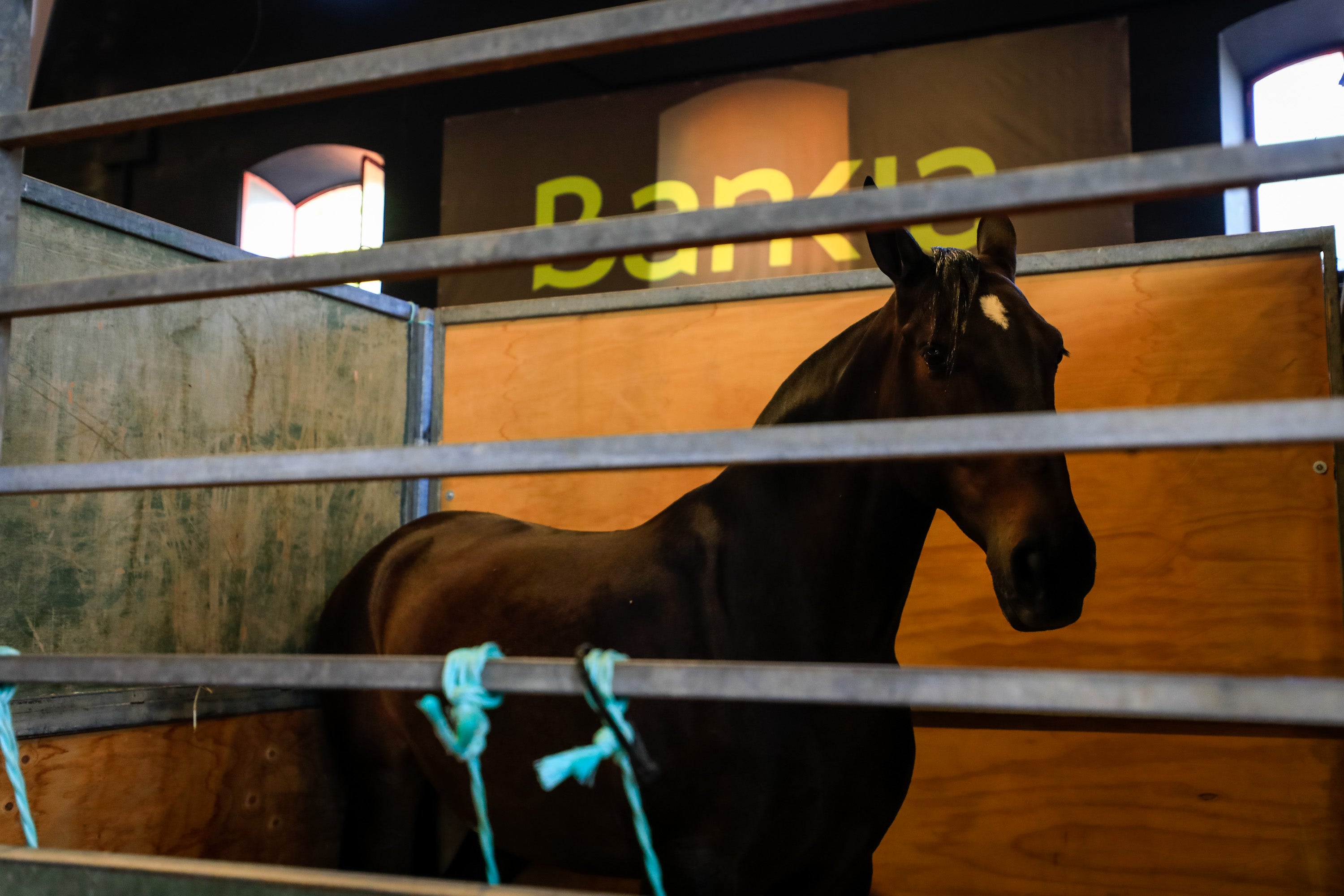 Concab Granada 2019 cumple su vigésima edición consolidada como una de las ferias dedicadas al caballo más importantes de España. Se espera que sean más de 20.000 personas las que visiten la Feria de Muestras de Armilla