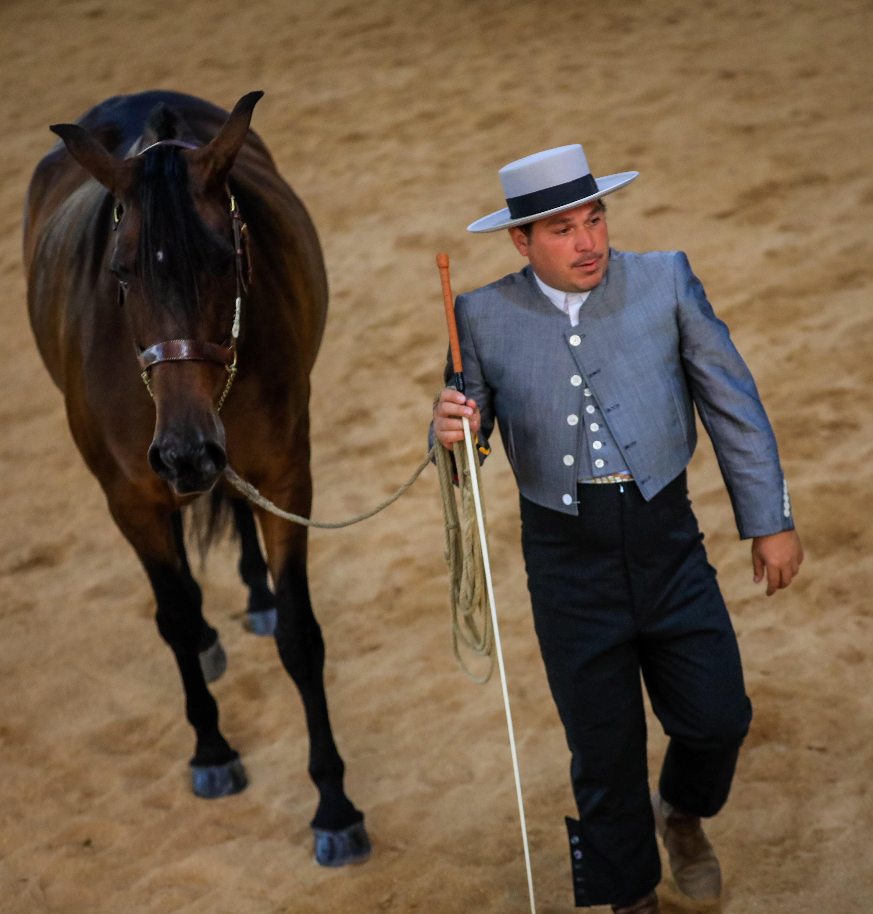 Concab Granada 2019 cumple su vigésima edición consolidada como una de las ferias dedicadas al caballo más importantes de España. Se espera que sean más de 20.000 personas las que visiten la Feria de Muestras de Armilla