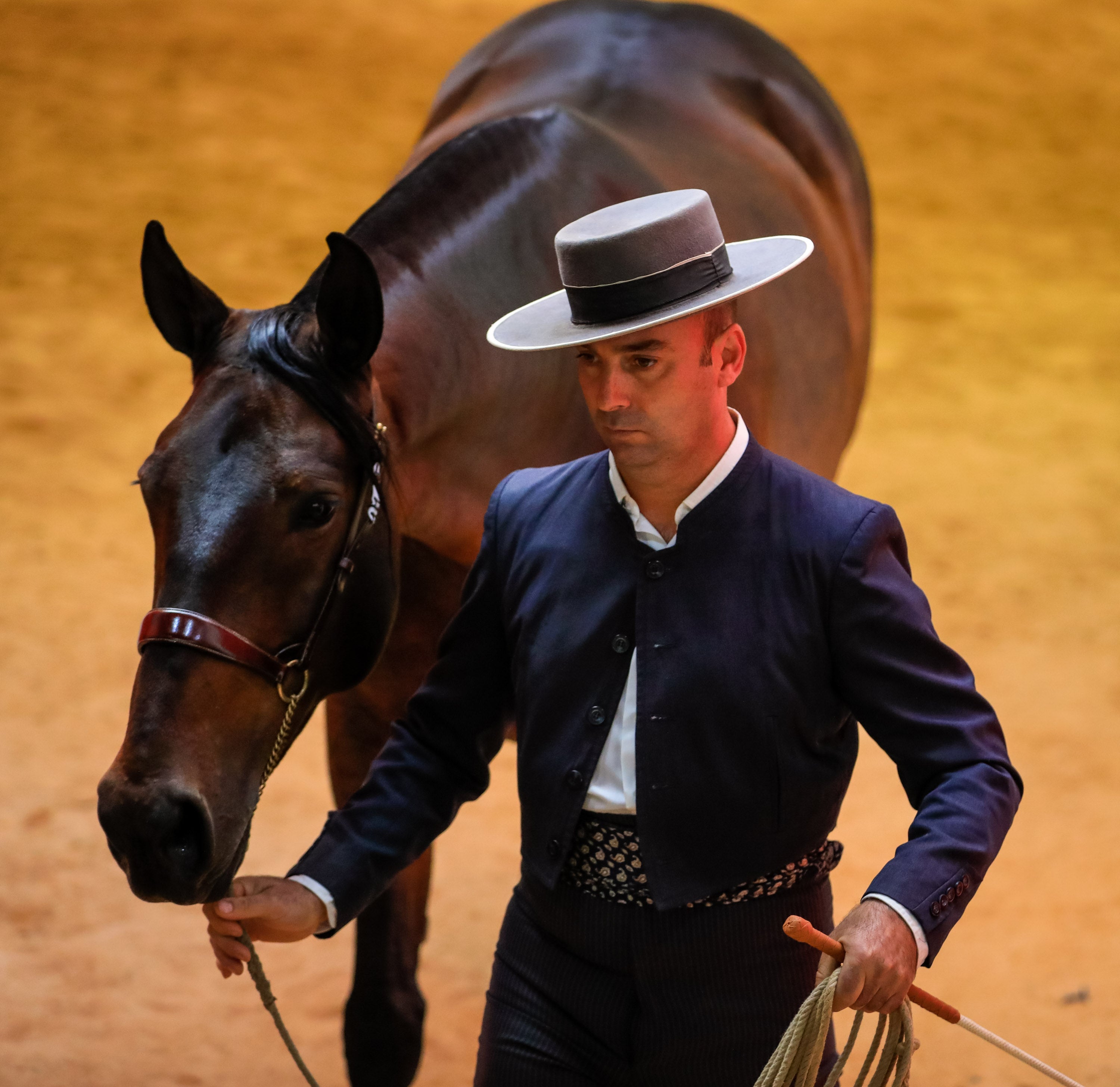 Concab Granada 2019 cumple su vigésima edición consolidada como una de las ferias dedicadas al caballo más importantes de España. Se espera que sean más de 20.000 personas las que visiten la Feria de Muestras de Armilla