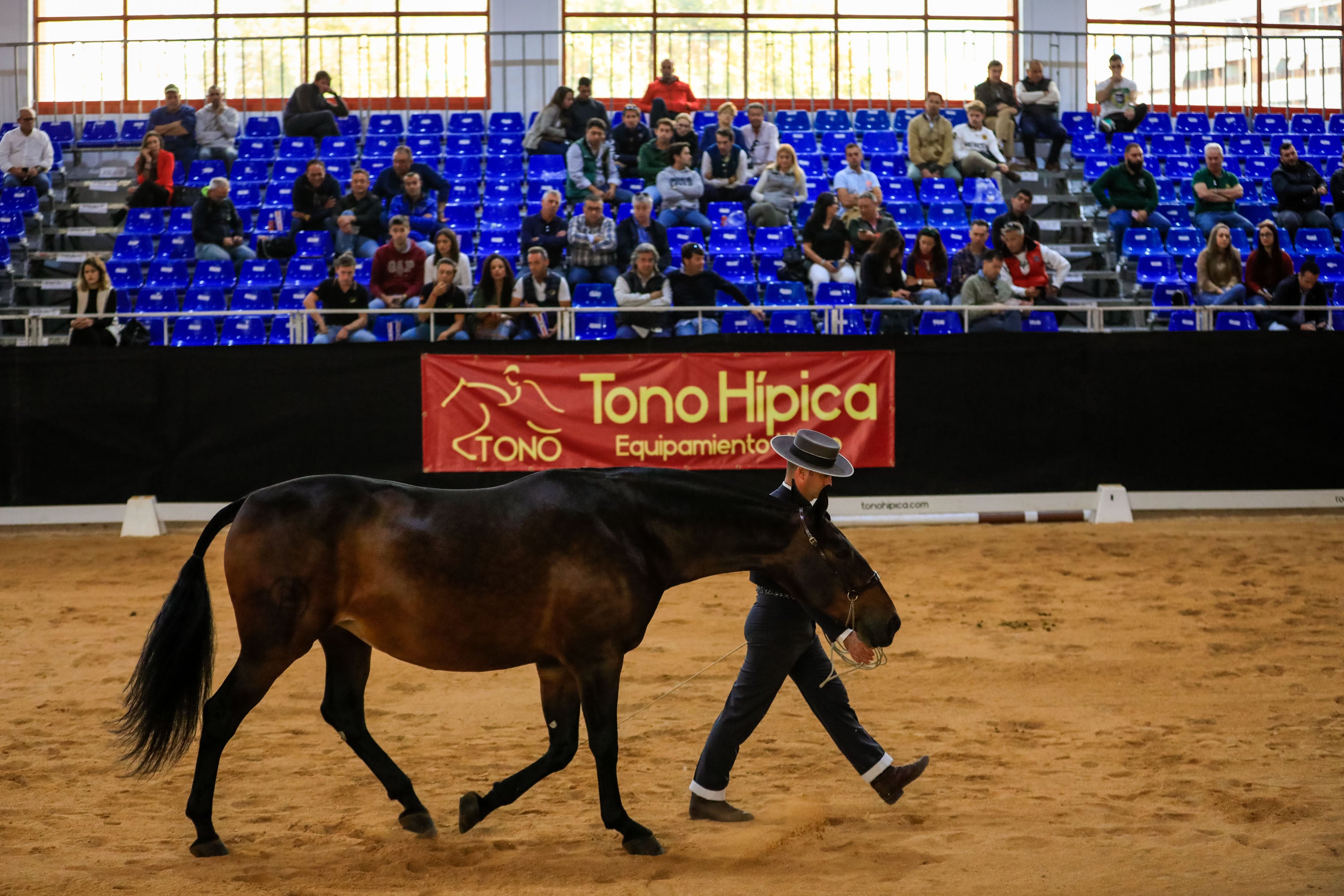 Concab Granada 2019 cumple su vigésima edición consolidada como una de las ferias dedicadas al caballo más importantes de España. Se espera que sean más de 20.000 personas las que visiten la Feria de Muestras de Armilla