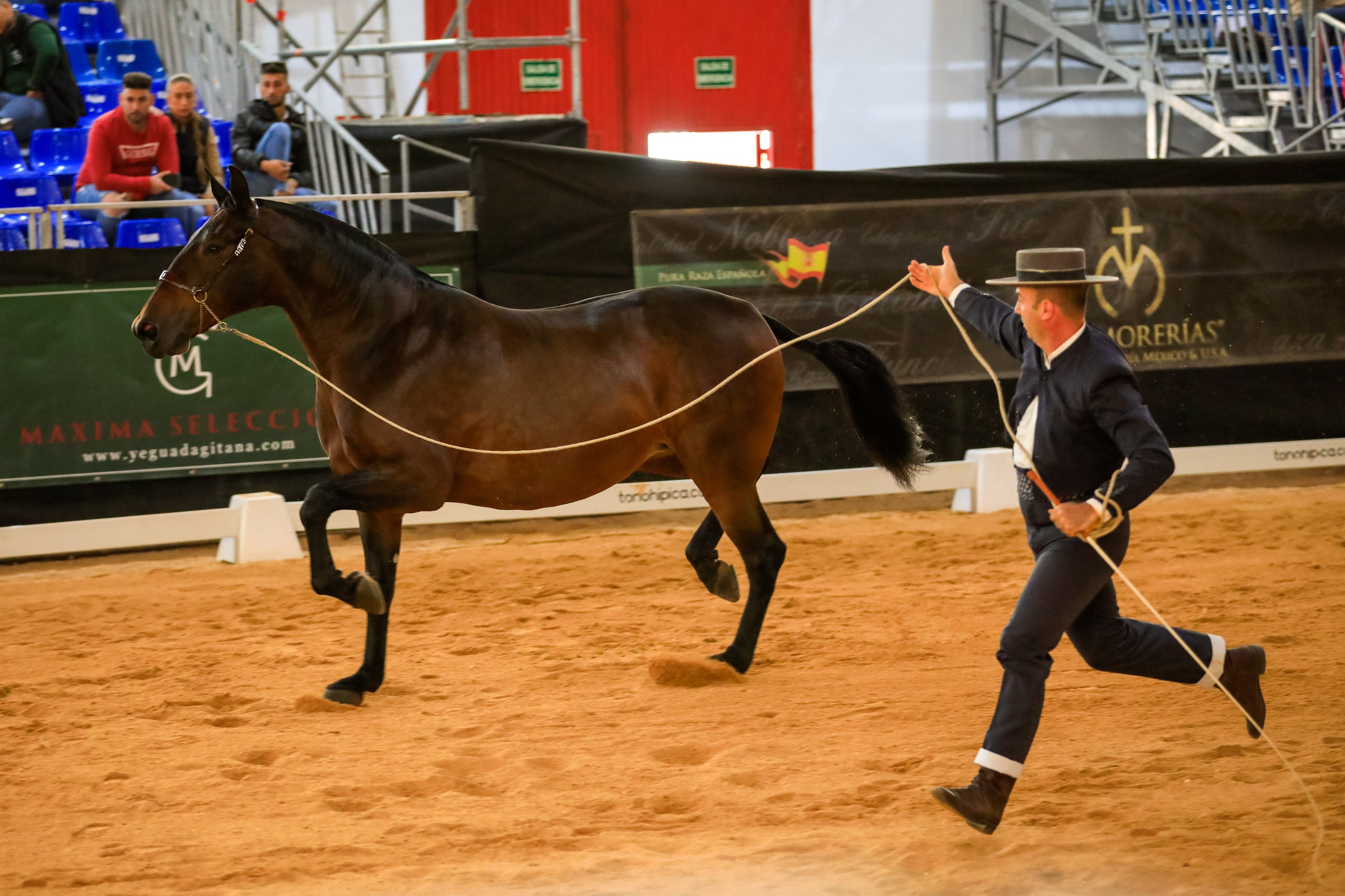 Concab Granada 2019 cumple su vigésima edición consolidada como una de las ferias dedicadas al caballo más importantes de España. Se espera que sean más de 20.000 personas las que visiten la Feria de Muestras de Armilla