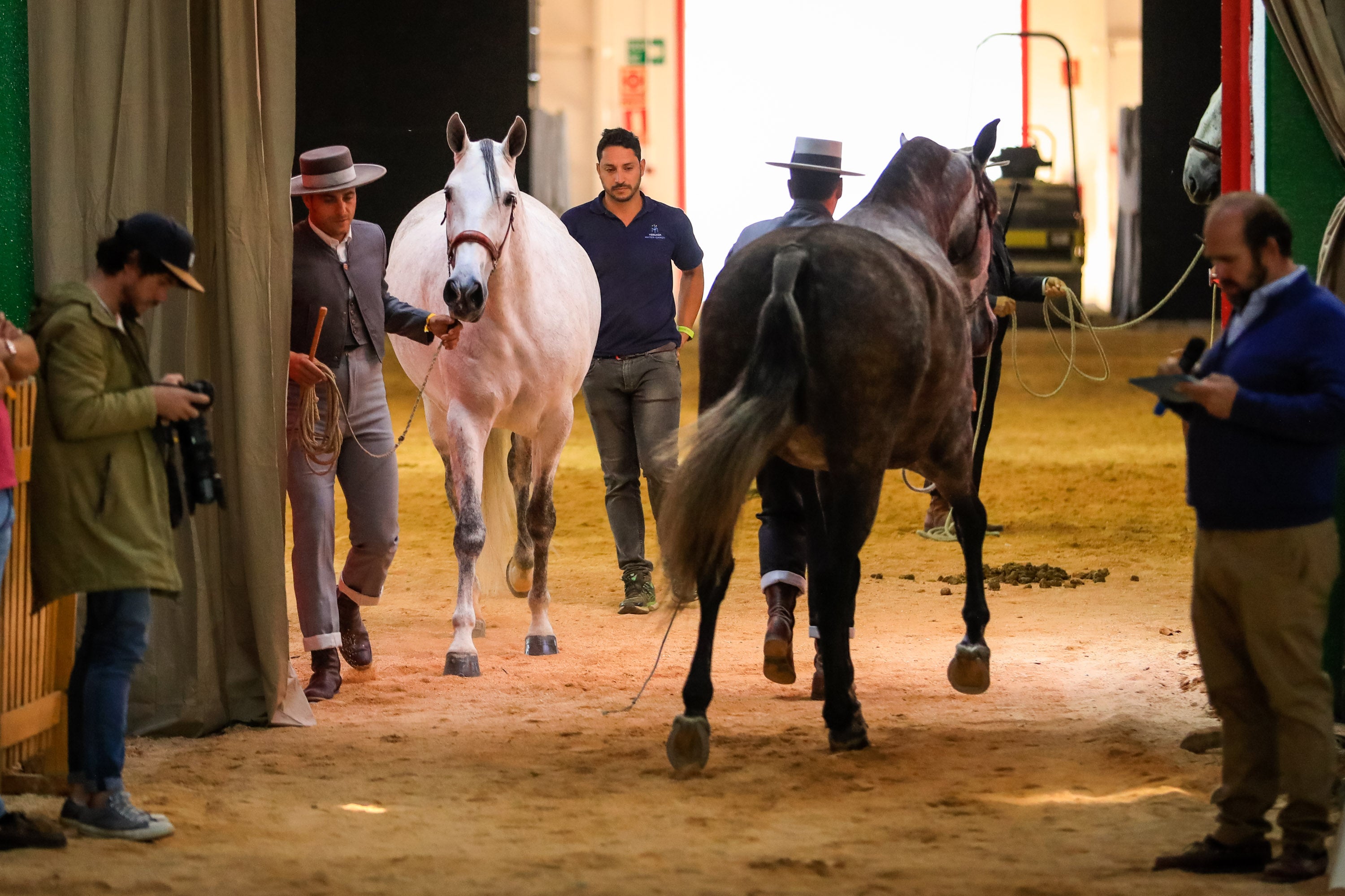 Concab Granada 2019 cumple su vigésima edición consolidada como una de las ferias dedicadas al caballo más importantes de España. Se espera que sean más de 20.000 personas las que visiten la Feria de Muestras de Armilla