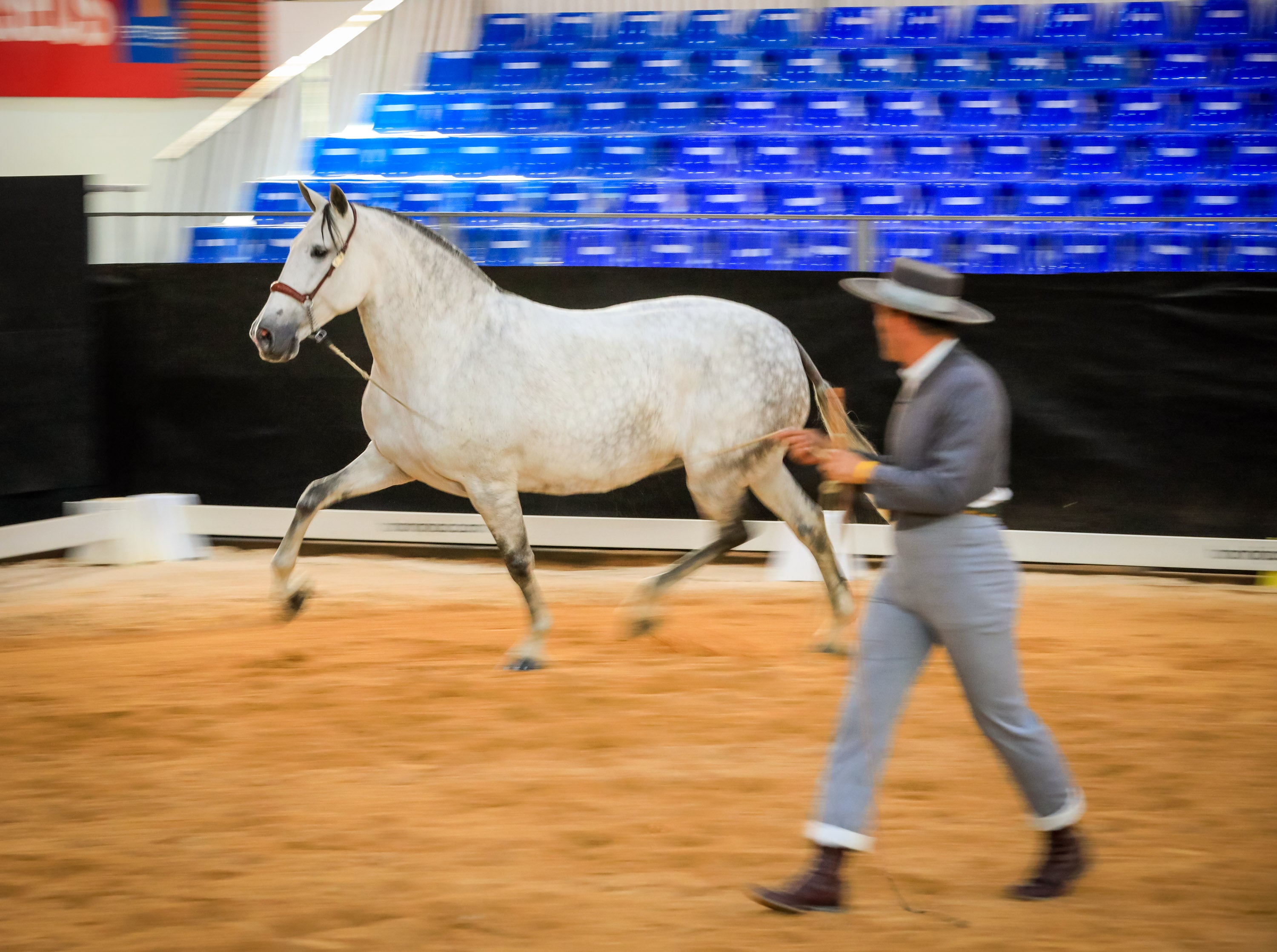 Concab Granada 2019 cumple su vigésima edición consolidada como una de las ferias dedicadas al caballo más importantes de España. Se espera que sean más de 20.000 personas las que visiten la Feria de Muestras de Armilla