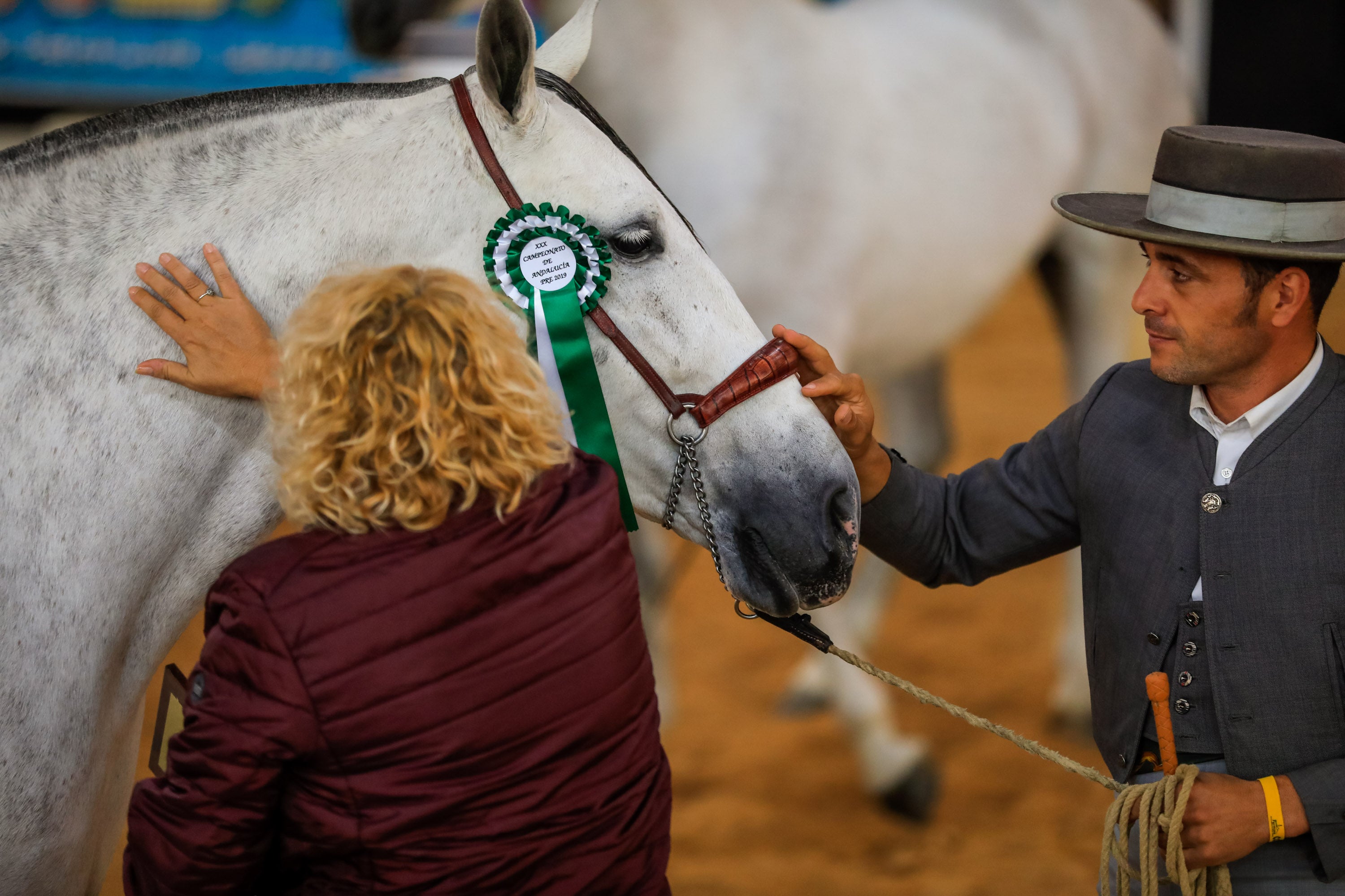 Concab Granada 2019 cumple su vigésima edición consolidada como una de las ferias dedicadas al caballo más importantes de España. Se espera que sean más de 20.000 personas las que visiten la Feria de Muestras de Armilla