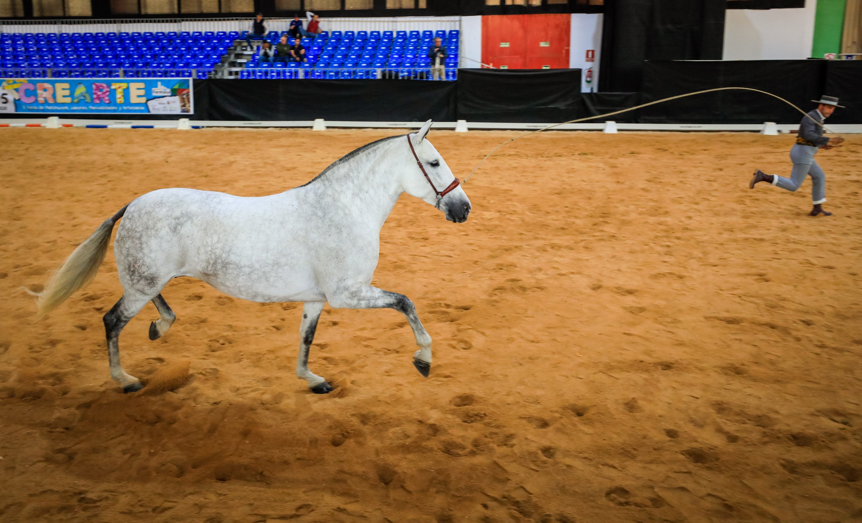 Concab Granada 2019 cumple su vigésima edición consolidada como una de las ferias dedicadas al caballo más importantes de España. Se espera que sean más de 20.000 personas las que visiten la Feria de Muestras de Armilla