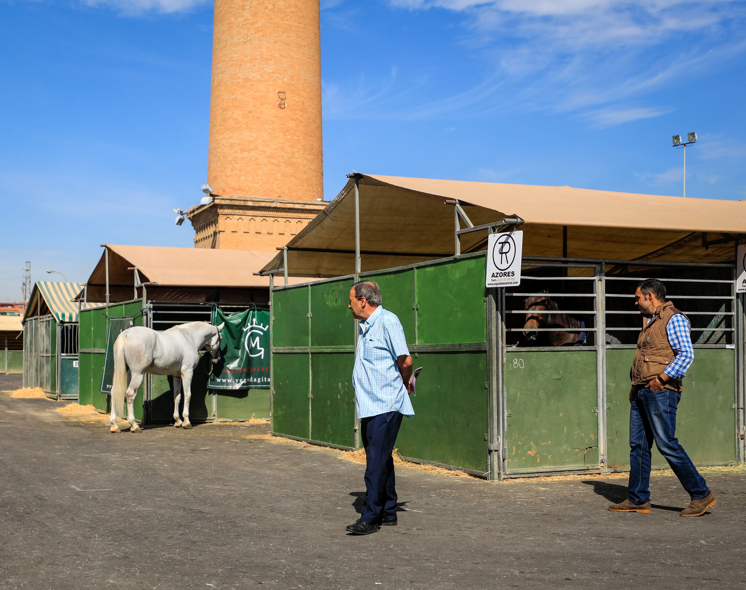 Concab Granada 2019 cumple su vigésima edición consolidada como una de las ferias dedicadas al caballo más importantes de España. Se espera que sean más de 20.000 personas las que visiten la Feria de Muestras de Armilla