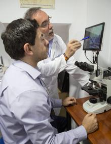 Imagen secundaria 2 - Investigaciones de firmas llevadas a cabo en el laboratorio.