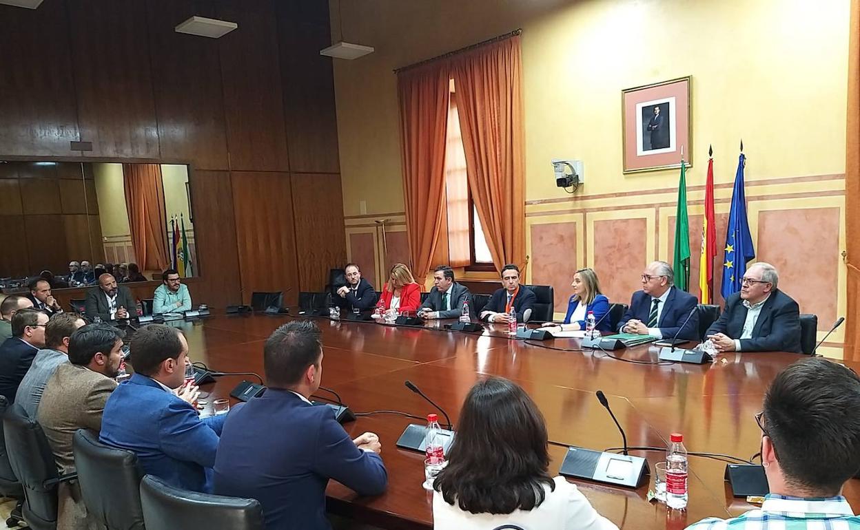 Reunión de Marifrán Carazo con alcaldes de Jaén en el Parlamento. IDEAL