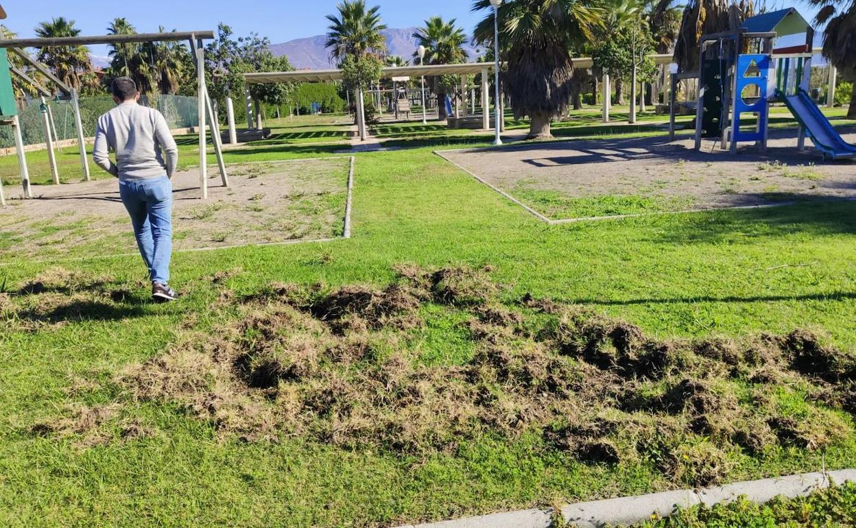 Todo el parque ha quedado dañado por el paso de los animales