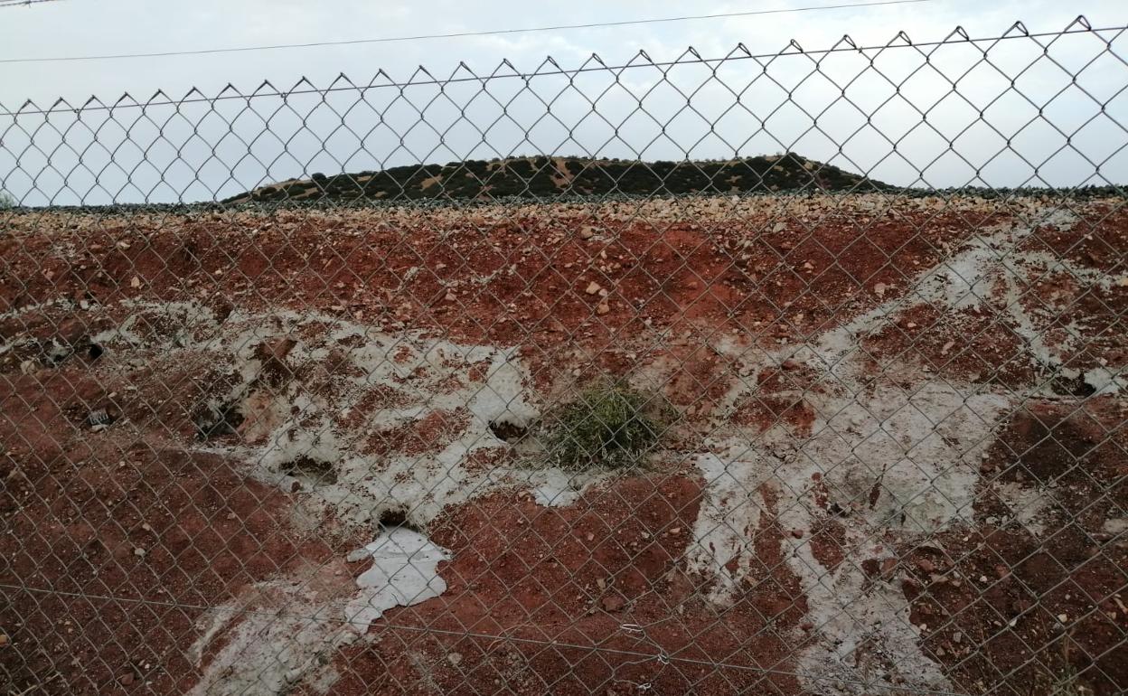 Adif ha tapado las madrigueras con cemento.