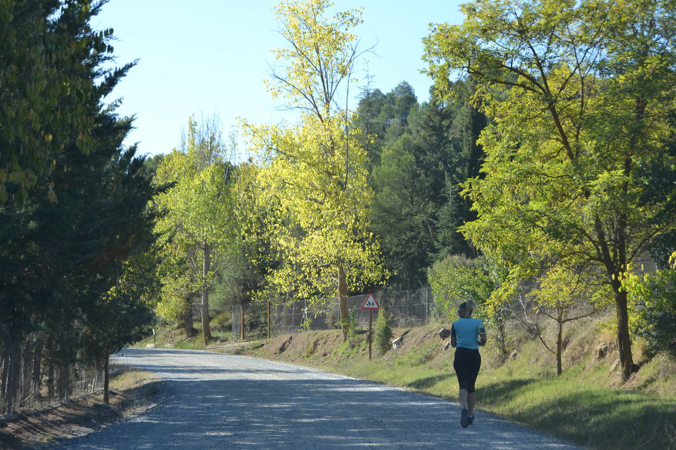 Cerca de 150 deportistas, entre participantes del trail, minitrail y senderistas, celebran en esta prueba que tuvo lugar en una agradable mañana de domingo 