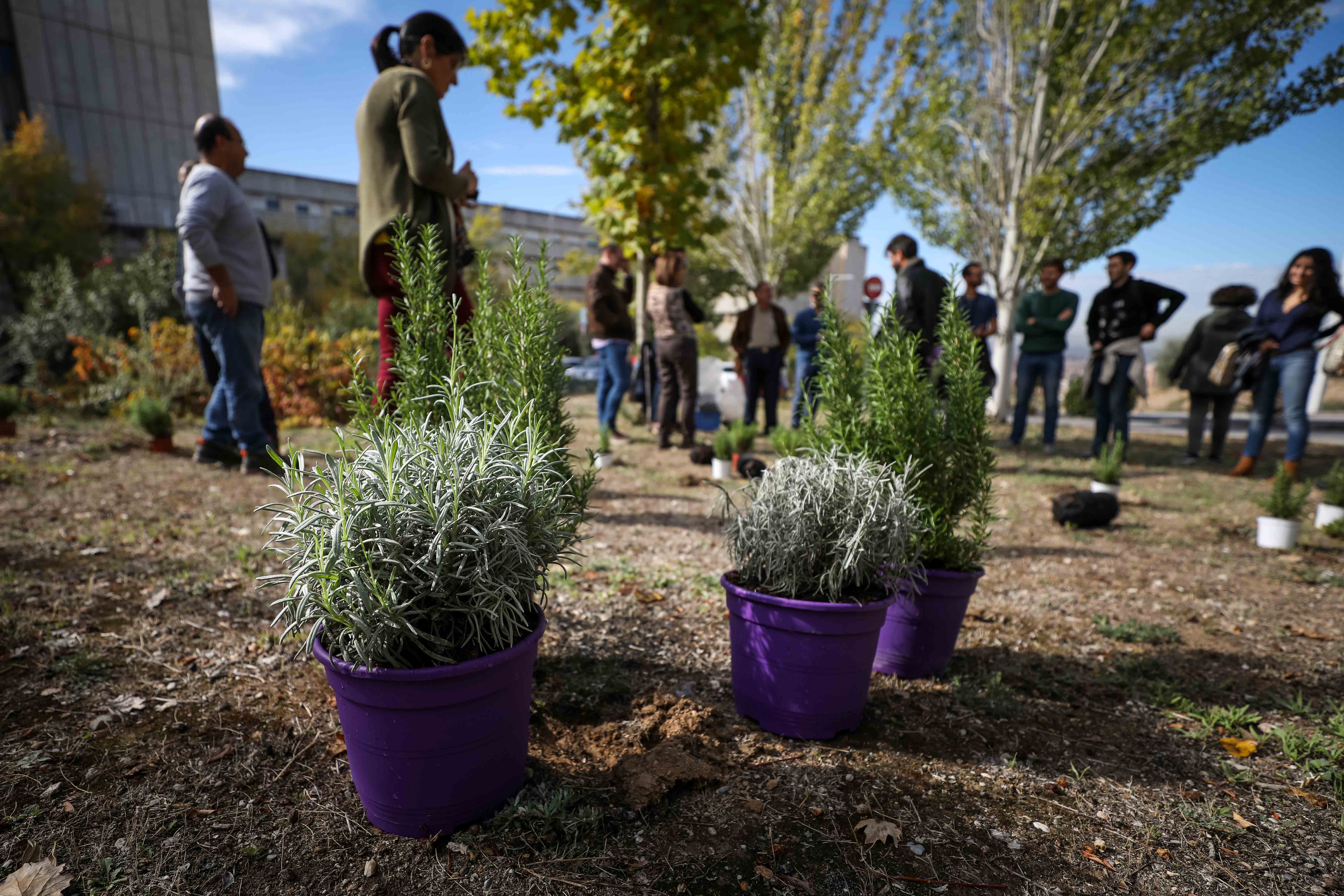 Estudiantes, profesores y resto de profesionales ponen en marcha una campaña de concienciación con el medio ambiente.