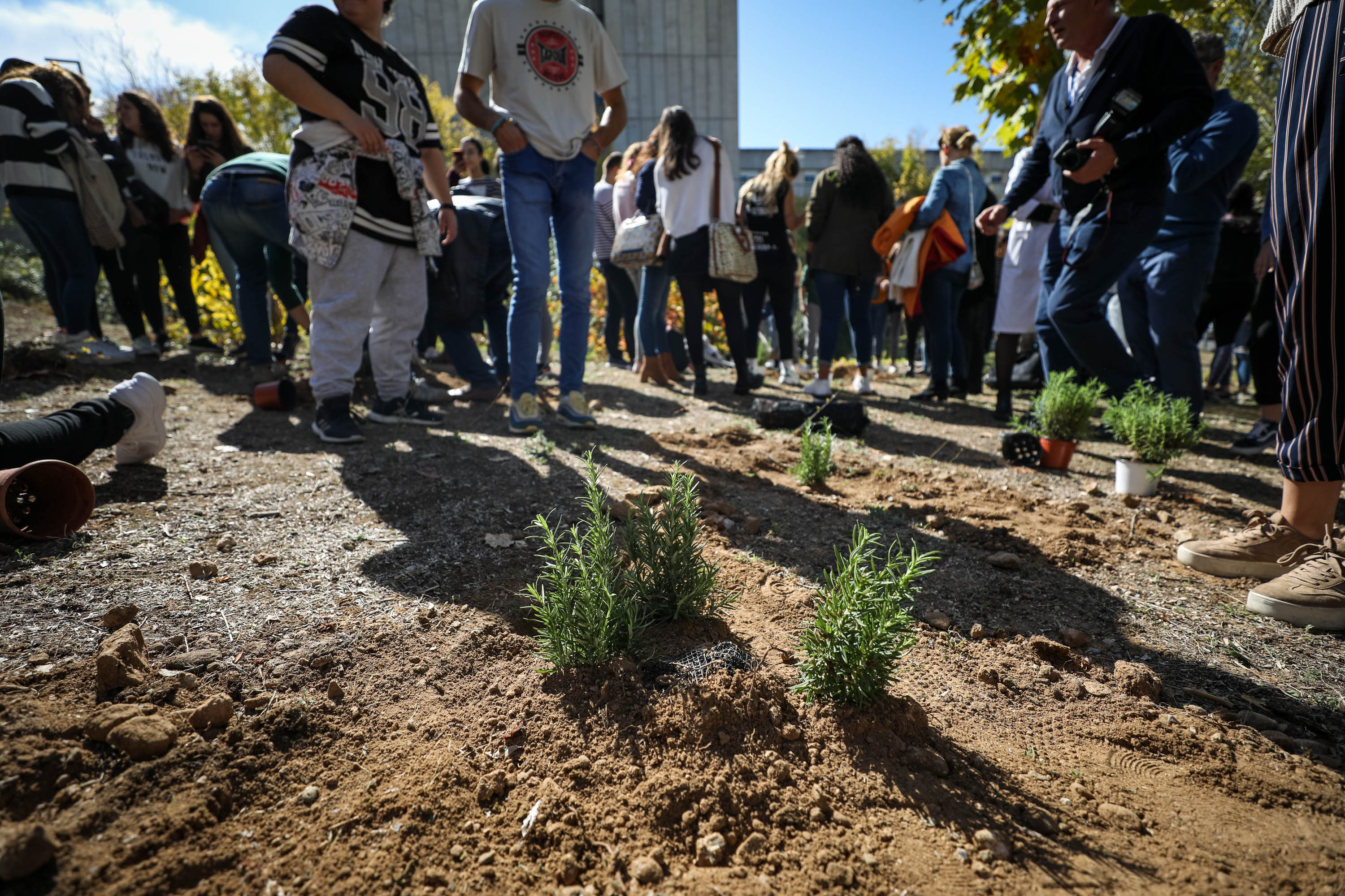 Estudiantes, profesores y resto de profesionales ponen en marcha una campaña de concienciación con el medio ambiente.