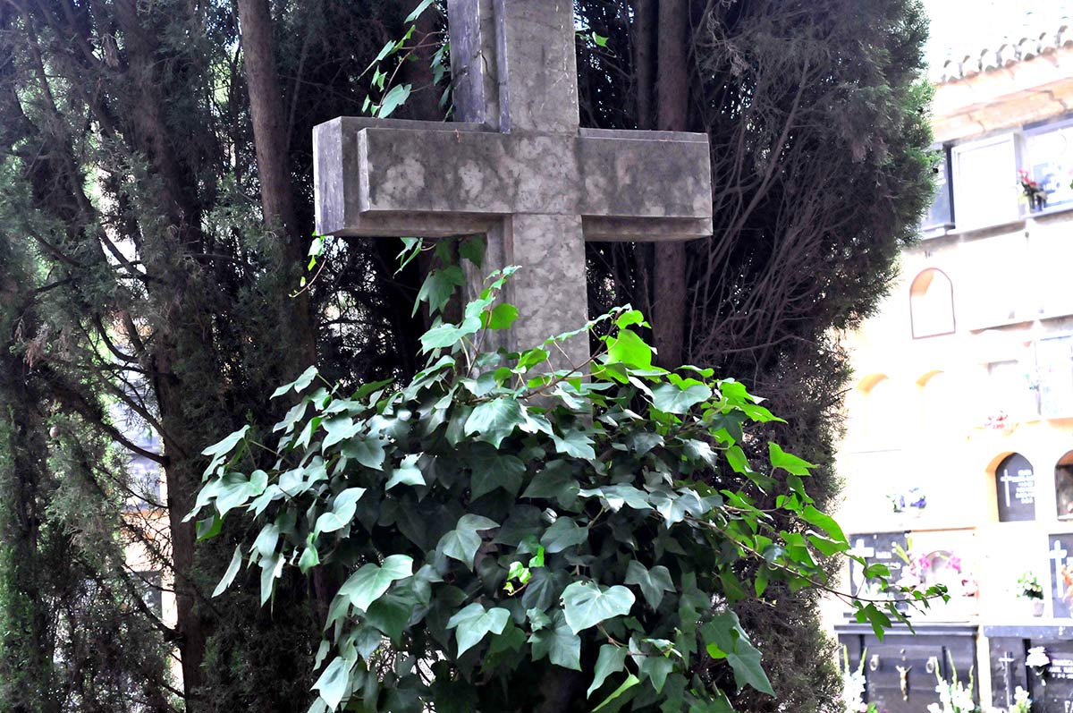 Imagen secundaria 2 - Un mirlo busca invertebrados entre los musgos de un mausoleo; una lagartija aparece por la unión de una lápida en un panteón; las hiedras aprovechan las cruces de piedra para crecer. 