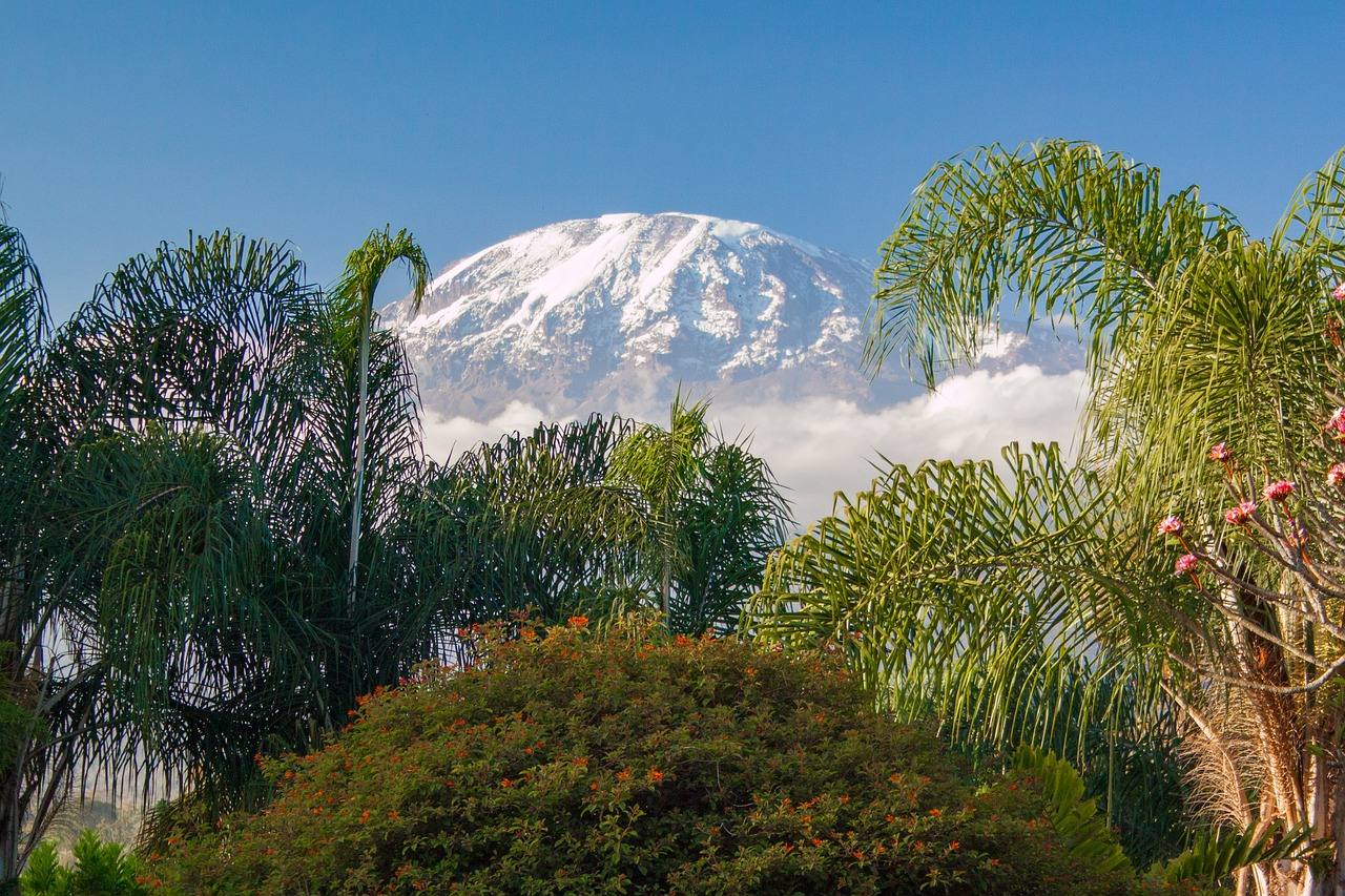 Kilimanjaro