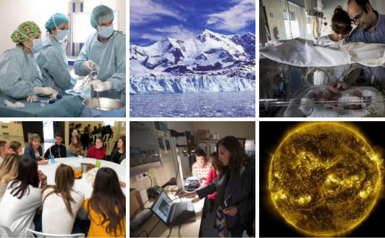 Actividades gratuitas para disfrutar de la Semana de la Ciencia en Granada