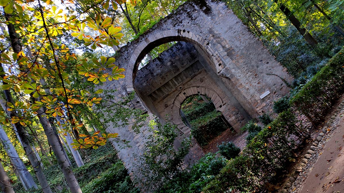 HOjas de castaños de indias sobre la Puerta de Bibrambla 