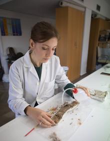 Imagen secundaria 2 - Trabajo en el Laboratorio de Restauración de la Facultad de Bellas Artes de Granada.
