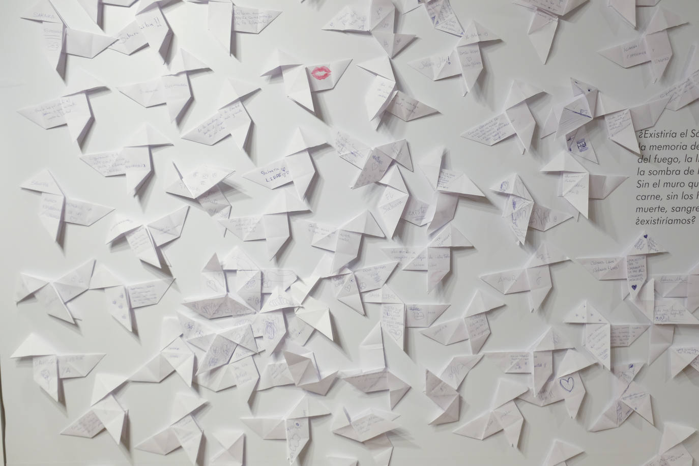 Fotos: Así fue la subasta solidaria para la Asociación de Amigos del Pueblo Saharaui