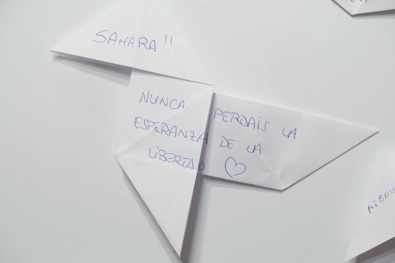 Fotos: Así fue la subasta solidaria para la Asociación de Amigos del Pueblo Saharaui