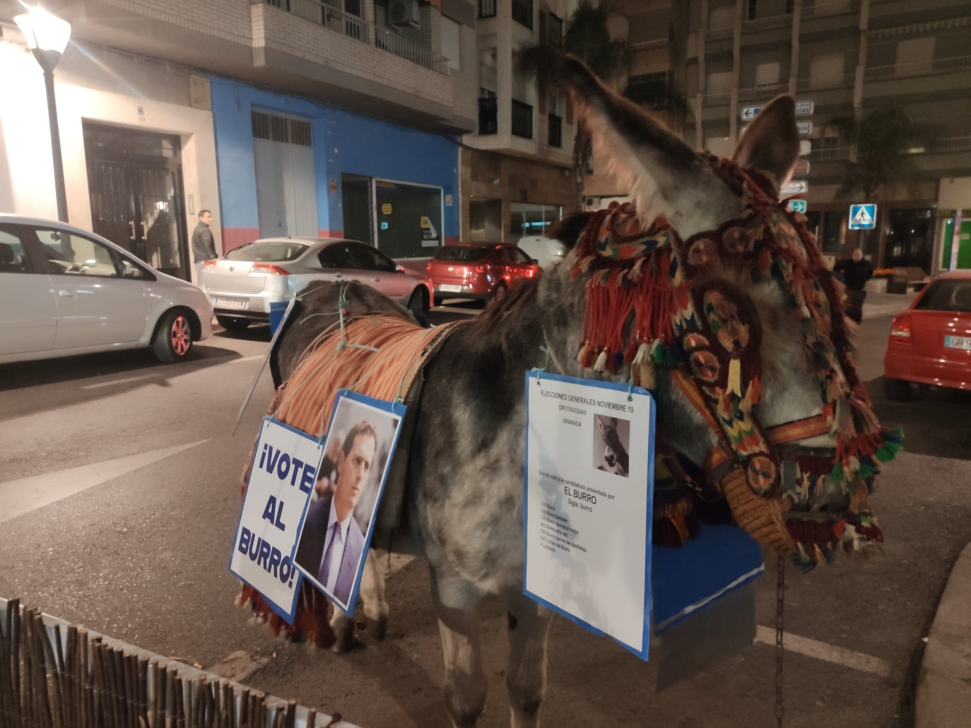 «Vote al burro»: La curiosa acción protesta que ha recorrido Motril antes del 10-N.